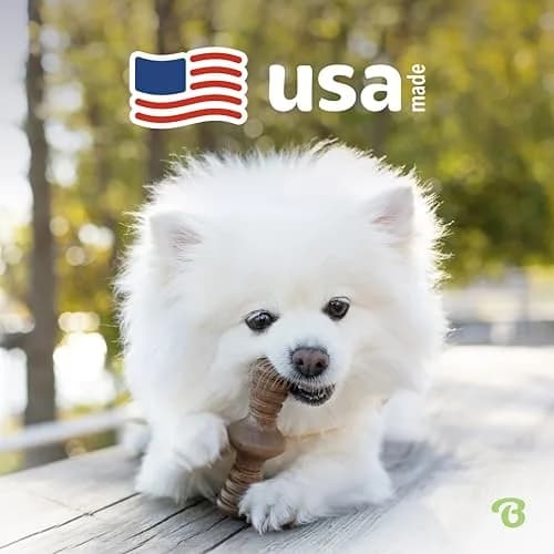 Benebone 2-Pack Maplestick/Zaggler Durable Dog Chew Toys, Tiny, 3.8 oz (108 g) | Real Bacon & Maple Wood Flavors thumbnail 5