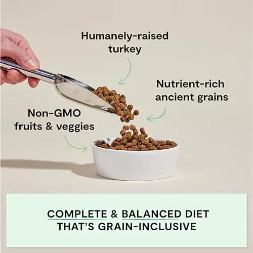 Open Farm Ancient Grains Dry Dog Food, Homestead Turkey Kibble, 1.81kg (4lb) | Heart-Healthy & Balanced Nutrition thumbnail 2