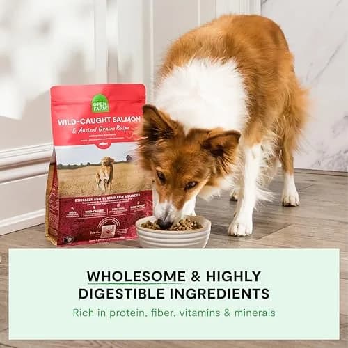 Open Farm Ancient Grains Dry Dog Food, Homestead Turkey Kibble, 1.81kg (4lb) | Heart-Healthy & Balanced Nutrition thumbnail 3