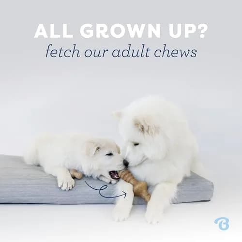 Benebone Puppy Wishbone Dog Chew Toy, Real Bacon, Small | Durable Nylon Chew for Teething Pups thumbnail 5