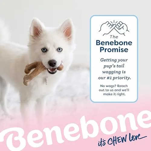 Benebone Puppy Wishbone Dog Chew Toy, Real Bacon, Small | Durable Nylon Chew for Teething Pups thumbnail 6
