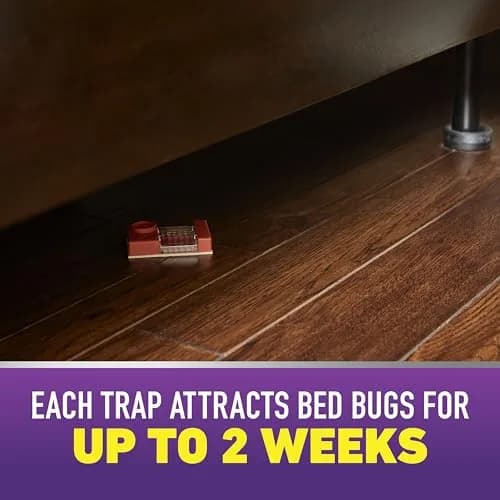Ortho Home Defense Max Bed Bug Trap, 2 Traps | Detect & Trap Bed Bugs thumbnail 5