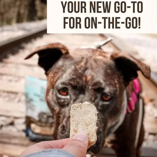 Tucker's Raw Frozen Freeze Dried Dog Food Chicken & Pumpkin 14oz | Complete & Balanced for All Life Stages thumbnail 7