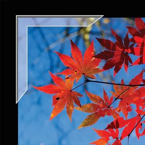 Lineco Slimline Polypropylene Mounting Corners 72 PCS | Acid-Free Archival Quality for Photos & Art thumbnail 3