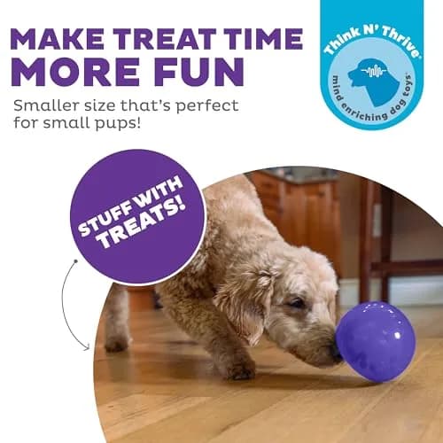 Outward Hound Lil' Snoop Interactive Treat Dispensing Dog Toy, Purple, 3.9" | Mental Stimulation & Slow Feeding thumbnail 2