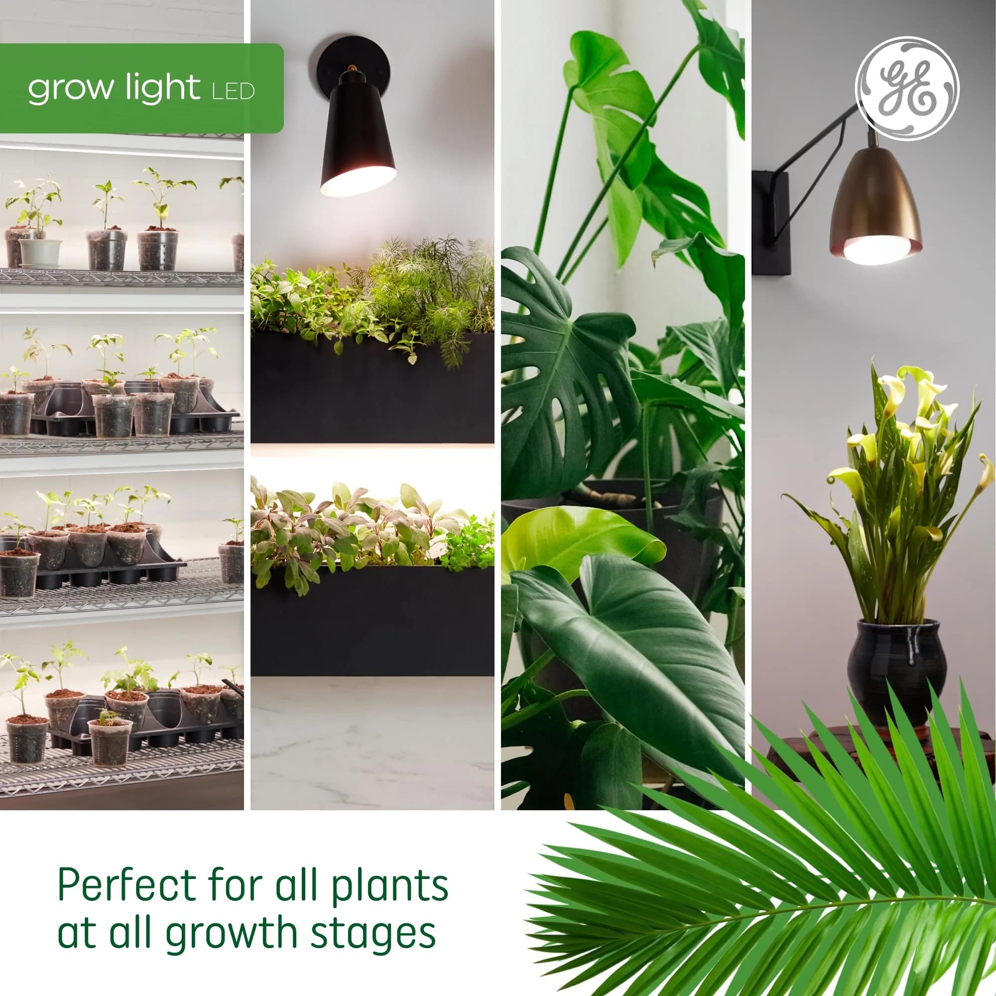 GE Grow Lights for Indoor Plants BR30 LED Bulb 4 Pack | Balanced Spectrum for Seeds & Greens - view 6