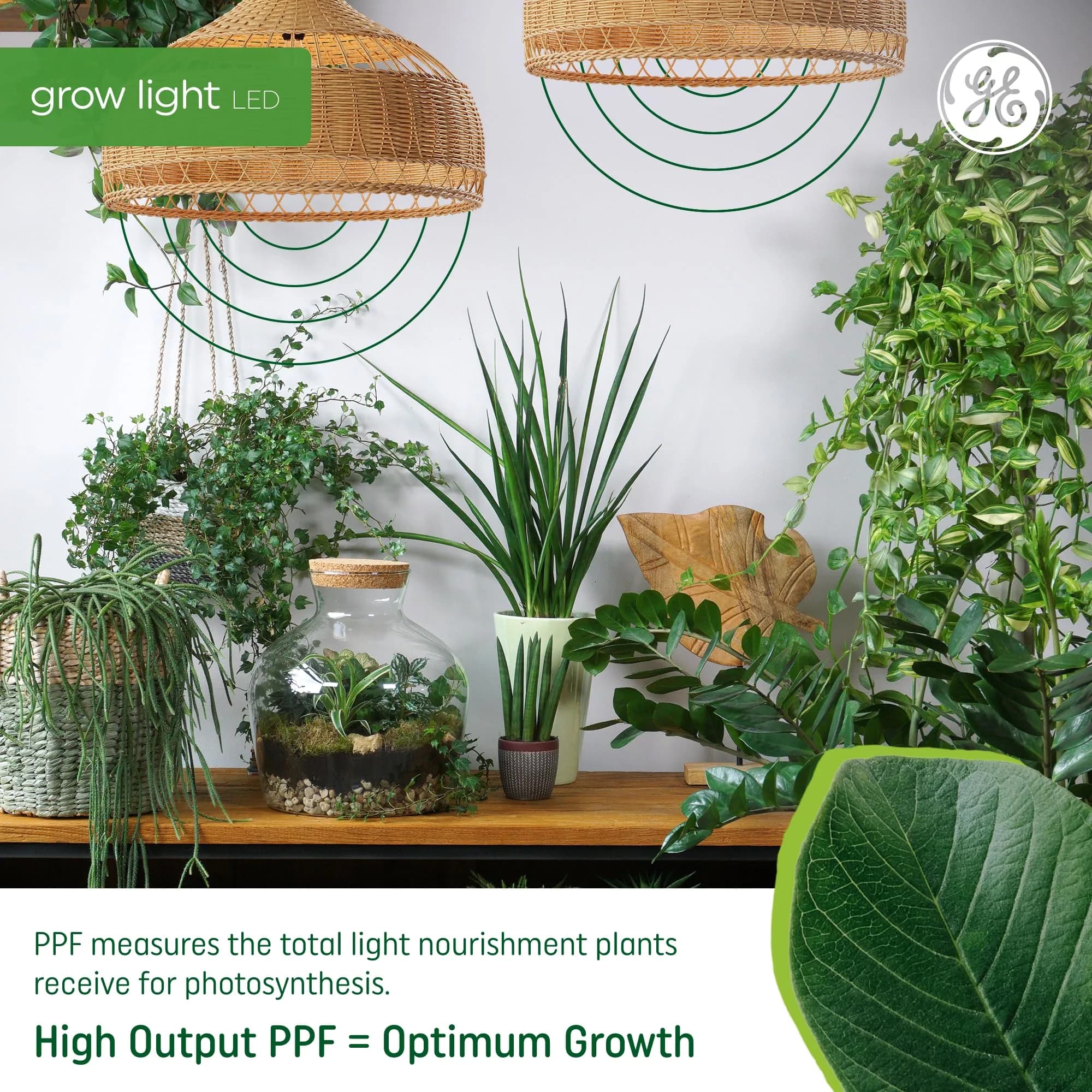 GE Grow Lights for Indoor Plants BR30 LED Bulb 4 Pack | Balanced Spectrum for Seeds & Greens - view 3