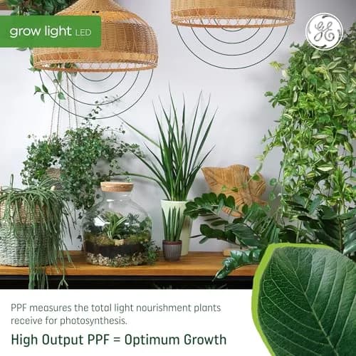 GE Grow Lights for Indoor Plants BR30 LED Bulb 4 Pack | Balanced Spectrum for Seeds & Greens thumbnail 3
