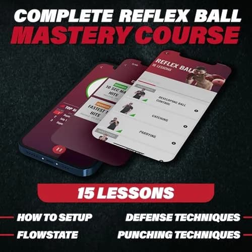 Champs MMA Reflex Ball Set with Punch Counter | 4 Varying Weights, Headband & Strings thumbnail 5
