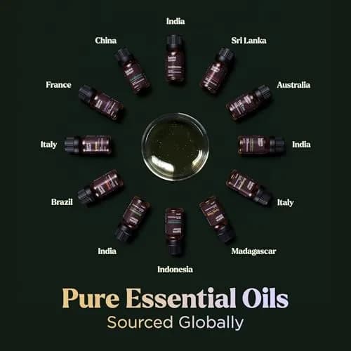 Lagunamoon Essential Oils Set - 12 Piece Premium Grade | Aromatherapy & Diffuser Oils for Home & Car thumbnail 3