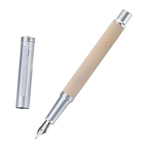 Asvine Silver Birch Forest Aluminum Fountain Pen Bent Nib (Fine to Broad) with Metal Box Fude Pen Set 13.8cm (5.43in) | Smooth Ink Flow thumbnail 1