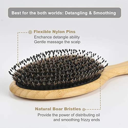 BESTOOL Boar Bristle Hair Brush Set (Regular & Small) | Detangles, Softens & Adds Shine thumbnail 2