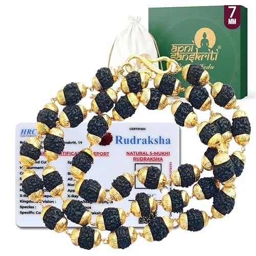 Apnisanskriti Black Rudraksha Mala with Golden Cap, 7-8mm Oval Beads | 109 Beads, 50g thumbnail 1