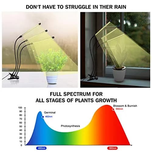 Bseah Full Spectrum LED Grow Light for Indoor Plants, 3-Head Clip-On Lamp with Timer & Dimmable Brightness | 15W (E26 Base) thumbnail 3