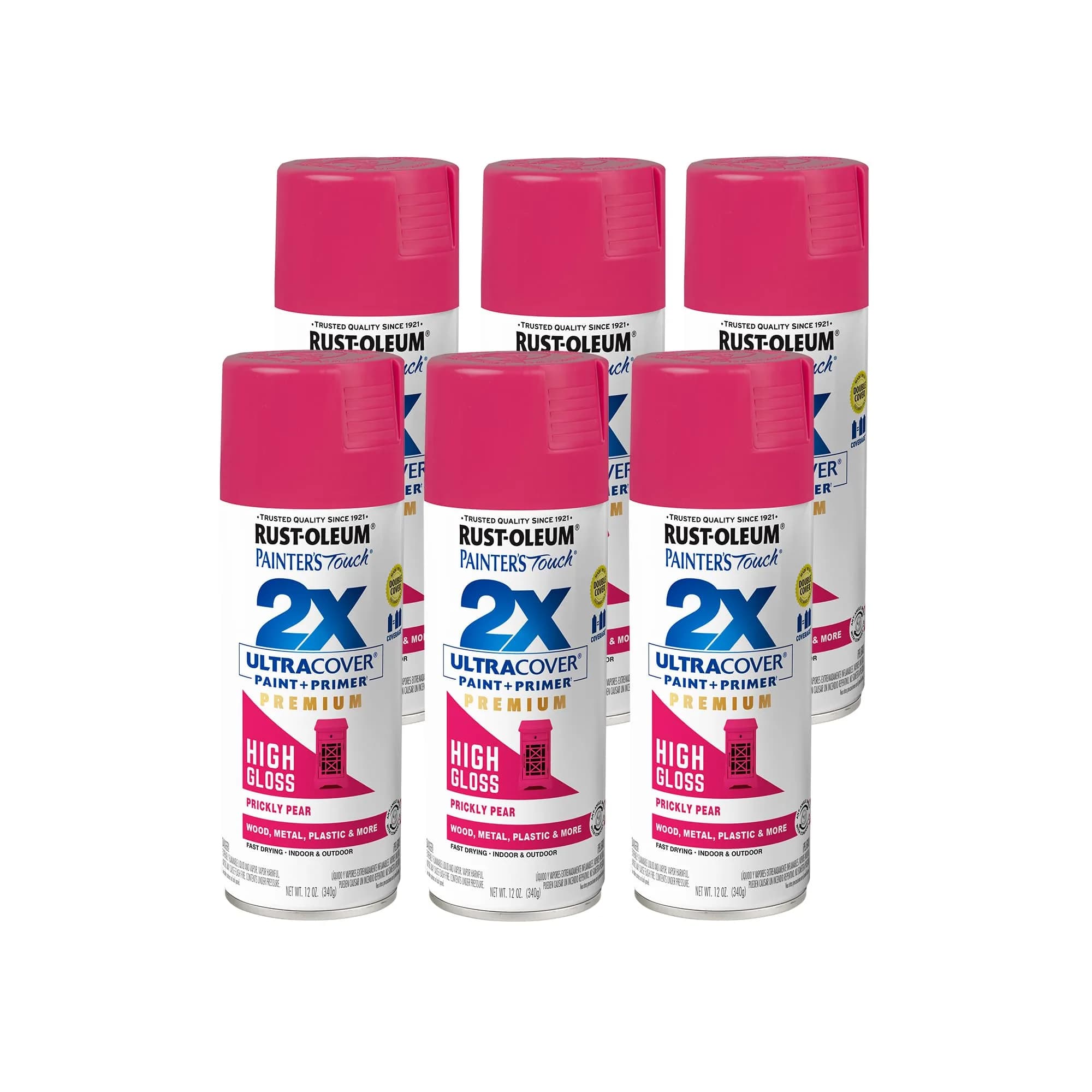 Rust-Oleum Painter's Touch 2X High Gloss Prickly Pear Spray Paint, 12 Oz (Pack of 6) - main product image