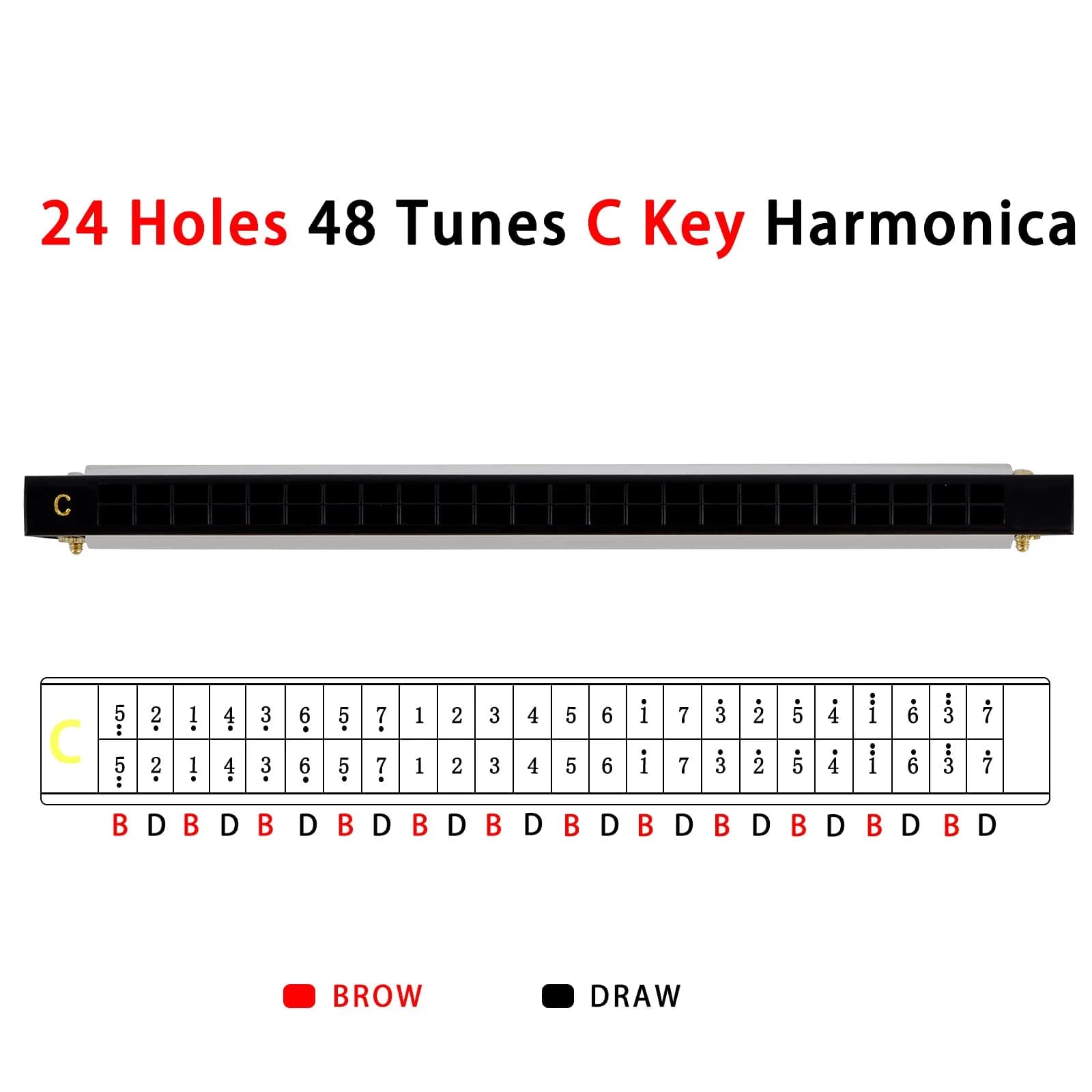 EASTROCK 24 Hole Blues Harmonica in C Key, Silver | Professional & Beginner Friendly - view 6