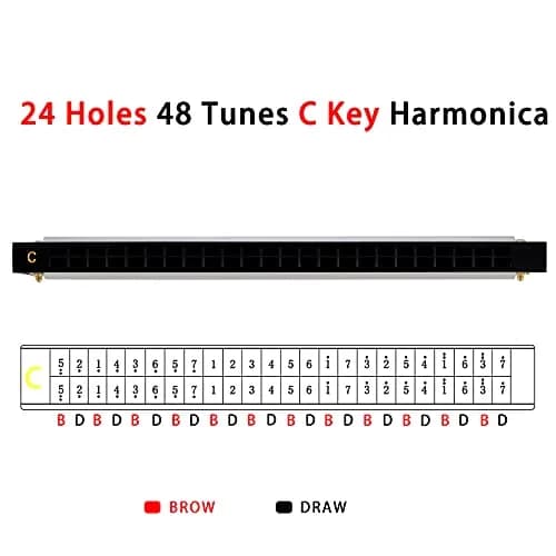 EASTROCK 24 Hole Blues Harmonica in C Key, Silver | Professional & Beginner Friendly thumbnail 6