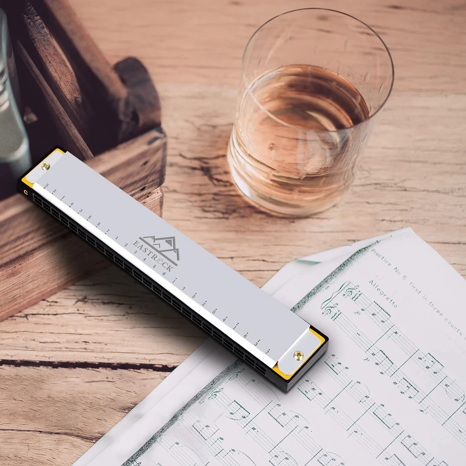 EASTROCK 24 Hole Blues Harmonica in C Key, Silver | Professional & Beginner Friendly - view 8