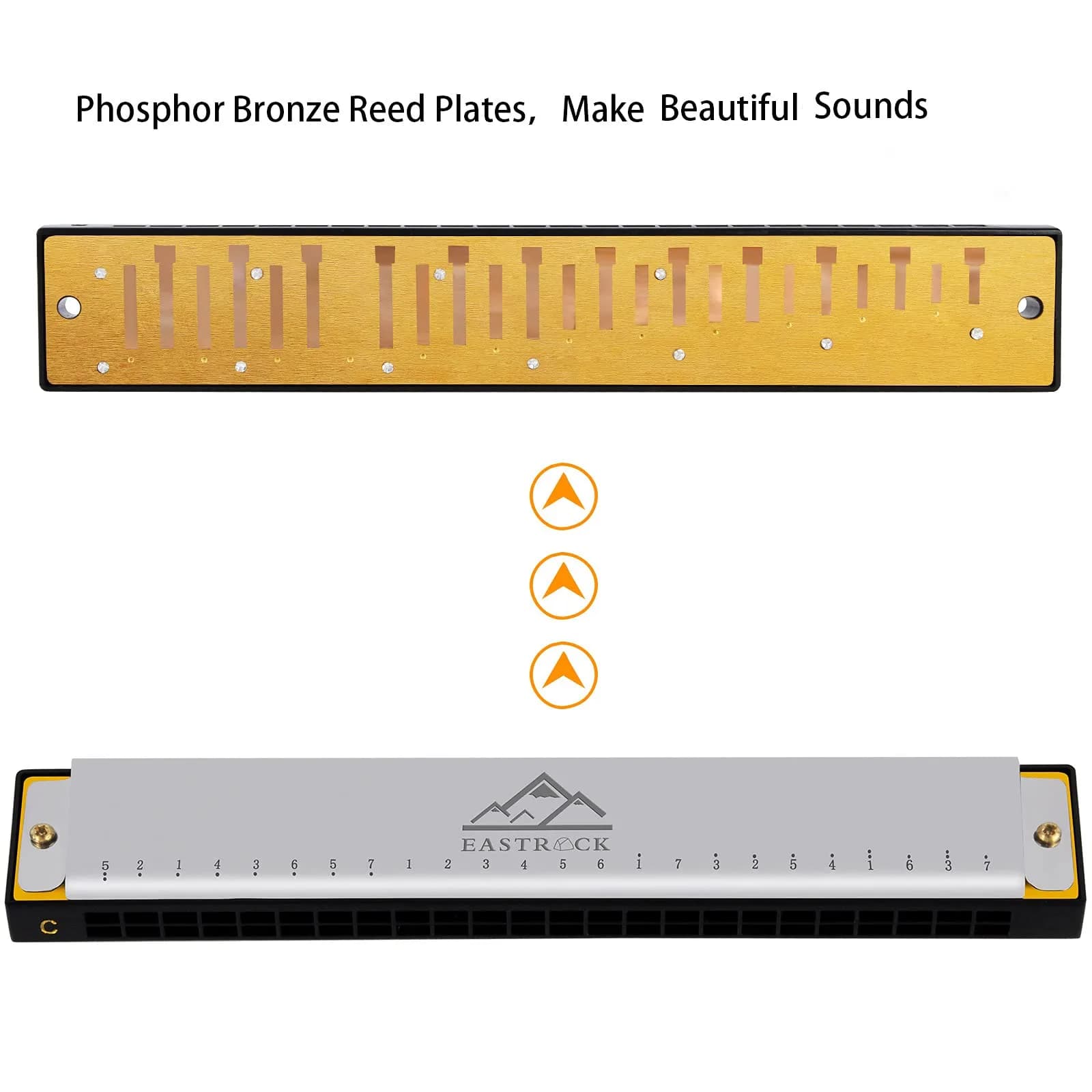 EASTROCK 24 Hole Blues Harmonica in C Key, Silver | Professional & Beginner Friendly - view 2