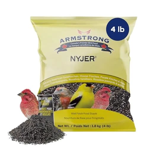 Armstrong Bird Food Nyjer Bird Seed 4lbs | High-Energy, Nutritious for Small Birds thumbnail 1