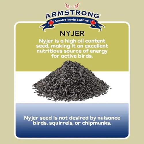 Armstrong Bird Food Nyjer Bird Seed 4lbs | High-Energy, Nutritious for Small Birds thumbnail 4