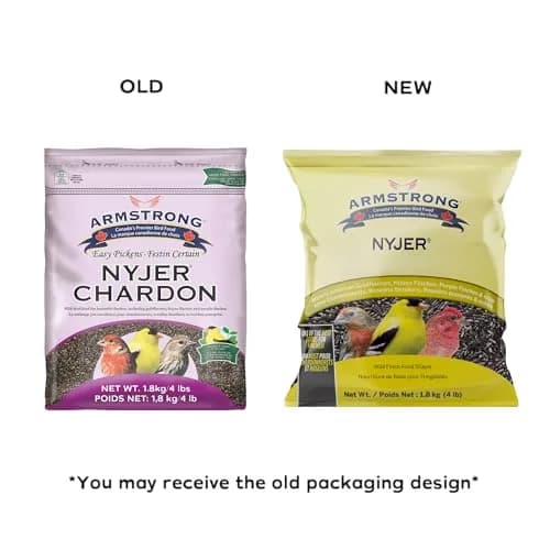 Armstrong Bird Food Nyjer Bird Seed 4lbs | High-Energy, Nutritious for Small Birds thumbnail 2
