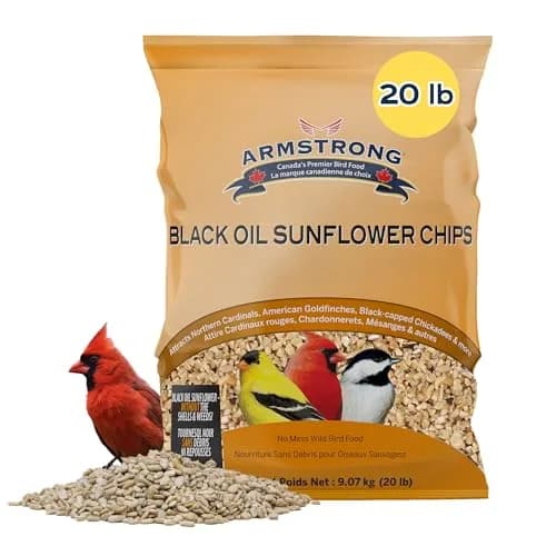Armstrong Bird Food Black Oil Sunflower Chips | 20 Pounds Wild Bird Feed for Northern Cardinals & Goldfinches thumbnail 1