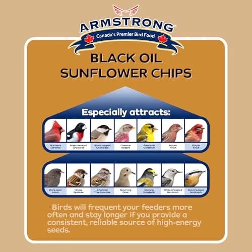 Armstrong Bird Food Black Oil Sunflower Chips | 20 Pounds Wild Bird Feed for Northern Cardinals & Goldfinches thumbnail 4