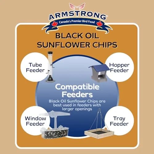 Armstrong Bird Food Black Oil Sunflower Chips | 20 Pounds Wild Bird Feed for Northern Cardinals & Goldfinches thumbnail 6
