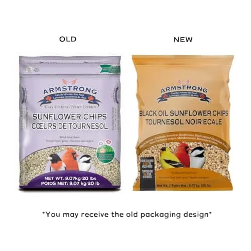 Armstrong Bird Food Black Oil Sunflower Chips | 20 Pounds Wild Bird Feed for Northern Cardinals & Goldfinches thumbnail 2