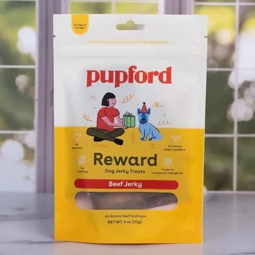 Pupford Salmon Dog Treats 4 oz | Natural, Single Ingredient, Low Calorie Reward thumbnail 8