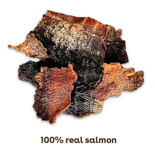 Pupford Salmon Dog Treats 4 oz | Natural, Single Ingredient, Low Calorie Reward thumbnail 3