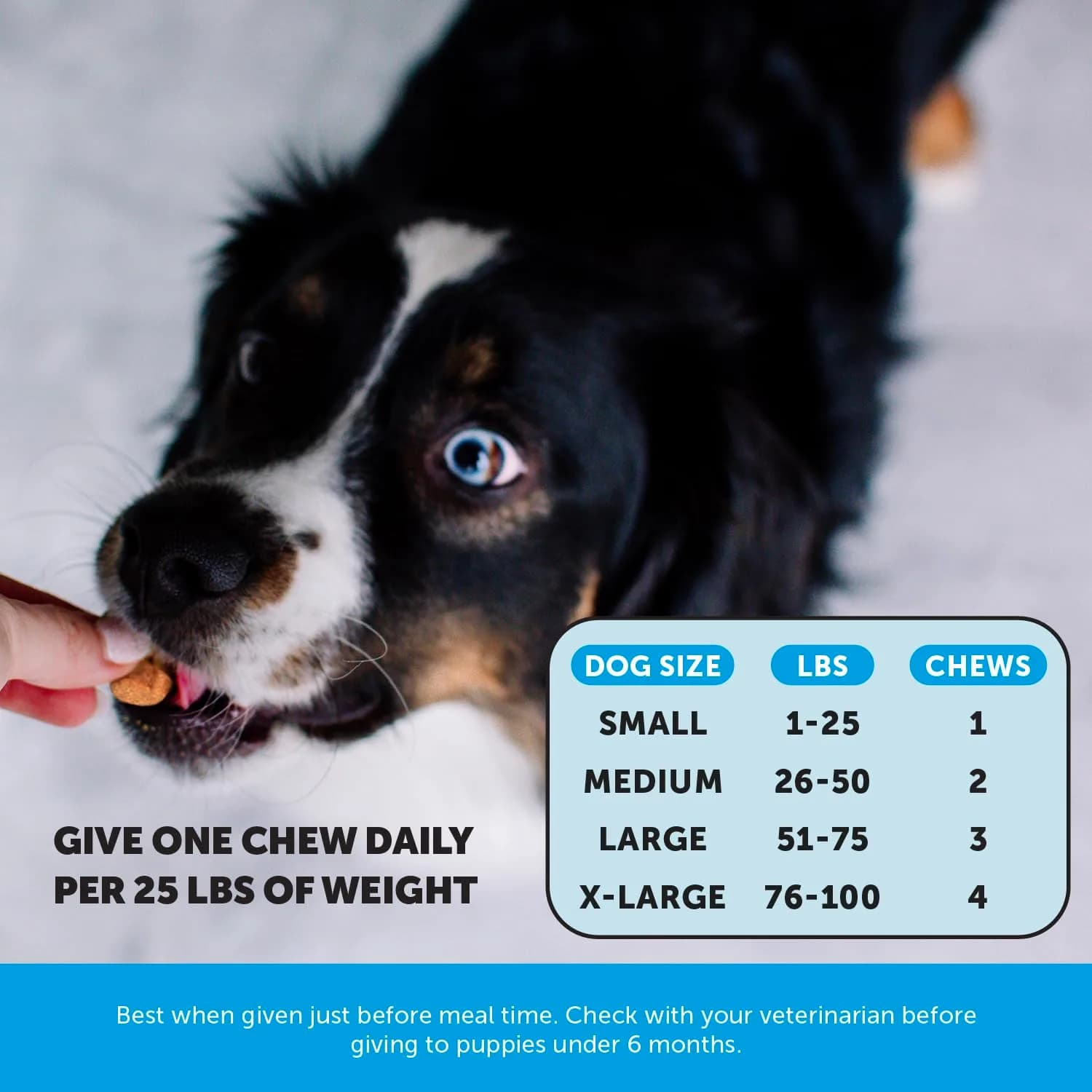 Pet Honesty Skin Health Omega Soft Chews for Dogs | 90 Chews (2.5kg / 5.5lb) - view 4