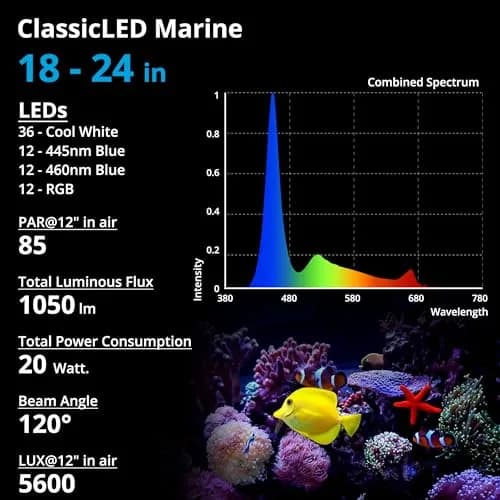 NICREW ClassicLED Marine Saltwater Aquarium Light, 20W for 18–24 inch Tanks | Full Spectrum with Day/Night Cycle thumbnail 4