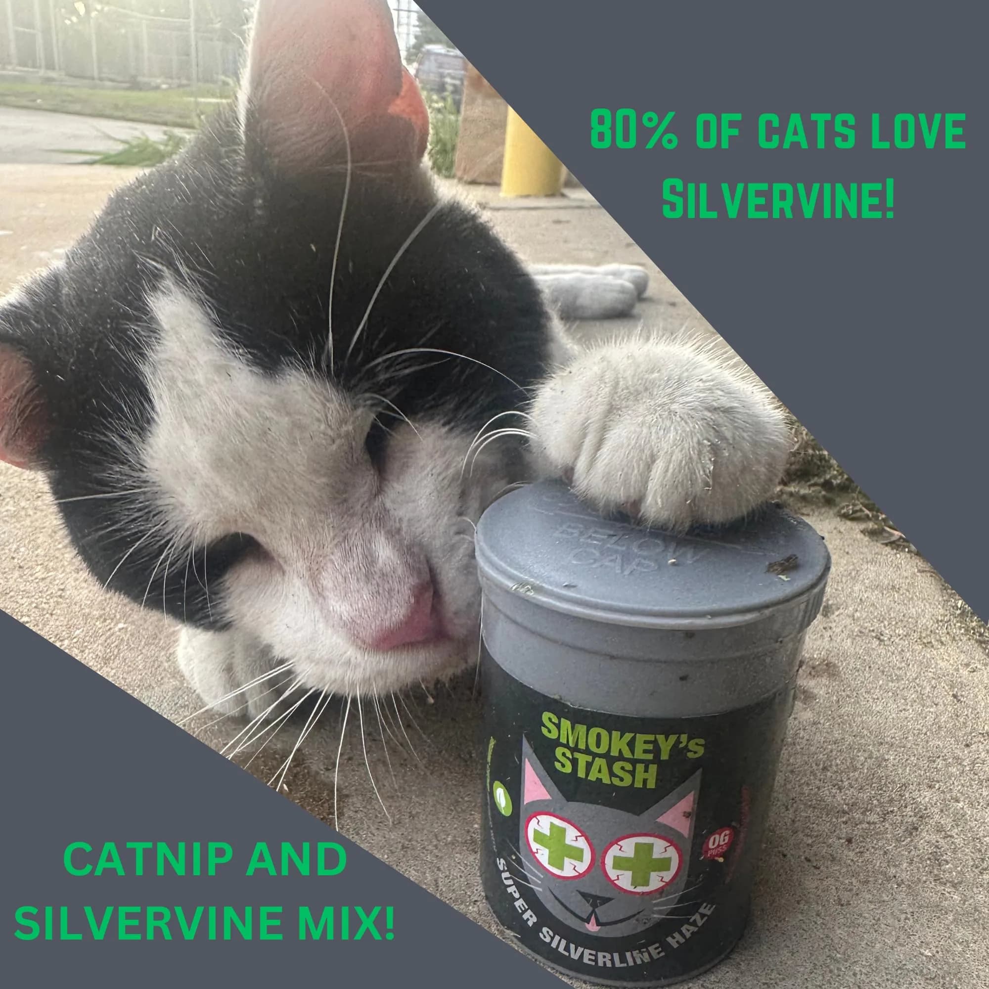 Smokey's Stash Silvervine Haze Potent Catnip and Silver Vine Blend for Cats (18g) - view 2