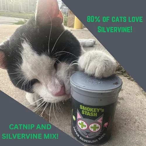 Smokey's Stash Silvervine Haze Potent Catnip and Silver Vine Blend for Cats (18g) thumbnail 2
