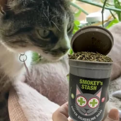 Smokey's Stash Silvervine Haze Potent Catnip and Silver Vine Blend for Cats (18g) thumbnail 3
