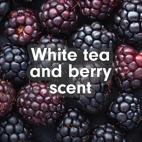 Softsoap Antibacterial Liquid Hand Soap Refill 1478ml (50 Fl Oz) White Tea & Berry | Eliminates 99.9% Bacteria thumbnail 5