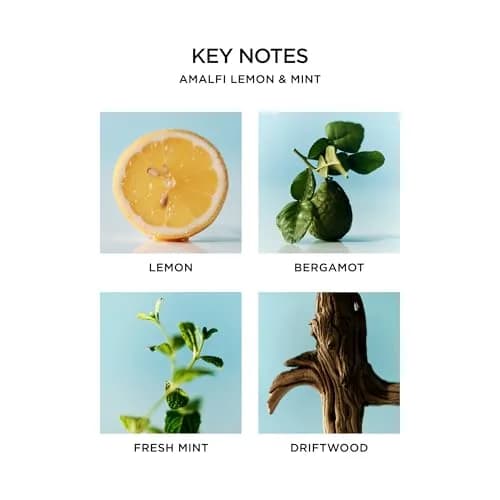 NEST New York Scented 3-Wick Candle, Amalfi Lemon & Mint | Elegant Home Fragrance (70-120 chars) thumbnail 4