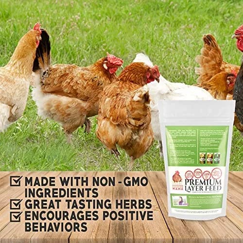 Pampered Chicken Mama Backyard Chicken Feed - Premium Layer Pellets 1280 Fl Oz | High Protein & Calcium thumbnail 4