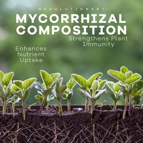 DYNOMYCO Mycorrhizal Fungi Inoculant 100g | Boosts Root Growth & Nutrient Uptake thumbnail 2