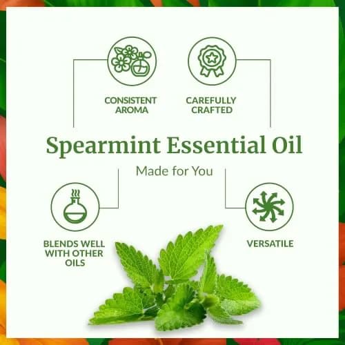 SVA ORGANICS Spearmint Essential Oil 118 ml (4 Fl Oz) | Fresh Minty Aroma for Diffuser & DIY thumbnail 3