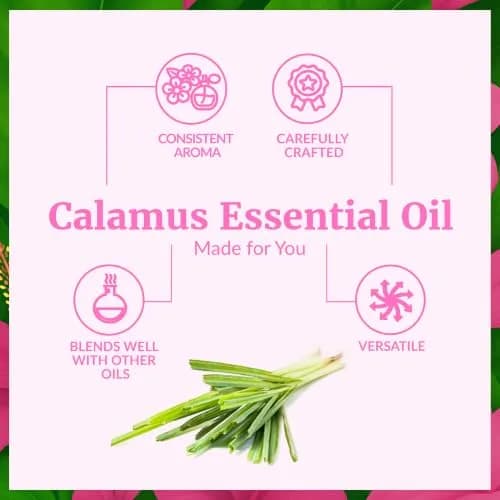 SVA ORGANICS Palmarosa Essential Oil 118 ml (4 Fl Oz) | Pure Floral Aroma for Diffuser, Skin & Hair Care thumbnail 3