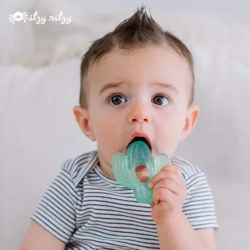 Itzy Ritzy Water-Filled Cactus Teethers for Babies 3+ Months | Set of 3, Green, BPA-Free thumbnail 7