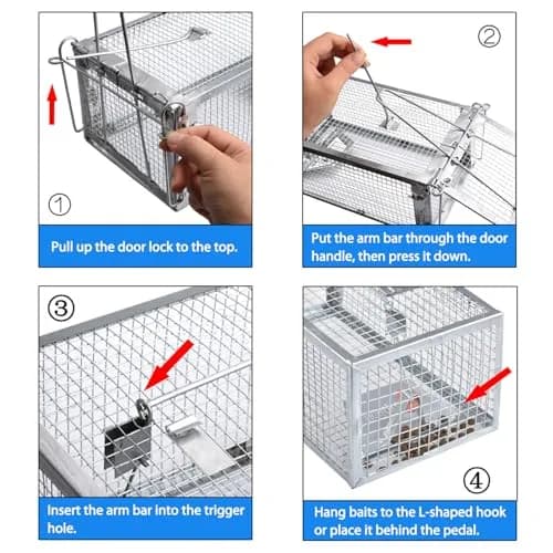 Gingbau Humane 2-Pack Rat Traps for Indoor & Outdoor Use | Live Chipmunk & Mouse Catch & Release thumbnail 5