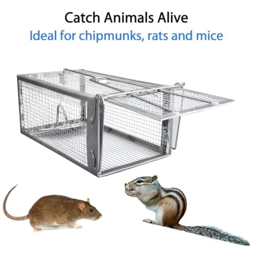 Gingbau Humane 2-Pack Rat Traps for Indoor & Outdoor Use | Live Chipmunk & Mouse Catch & Release thumbnail 2