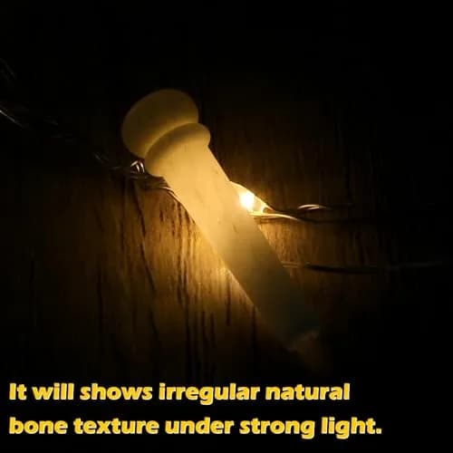 Blisstime 6pcs Unbleached Guitar Bone Bridge Pins Natural Bone Color | Improve Tone & Appearance thumbnail 5