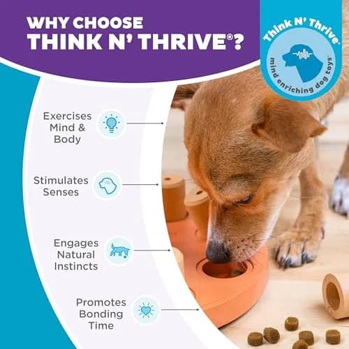 Outward Hound Dog Smart Treat Puzzle Toy Level 1 Beginner Orange Composite | Interactive Enrichment for Dogs thumbnail 6