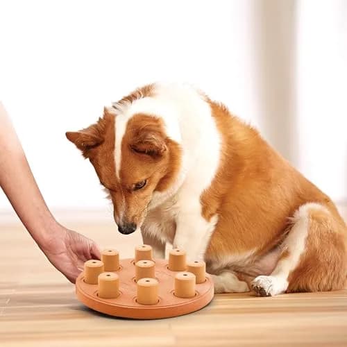 Outward Hound Dog Smart Treat Puzzle Toy Level 1 Beginner Orange Composite | Interactive Enrichment for Dogs thumbnail 8