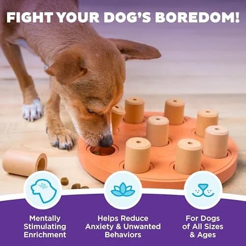 Outward Hound Dog Smart Treat Puzzle Toy Level 1 Beginner Orange Composite | Interactive Enrichment for Dogs thumbnail 2
